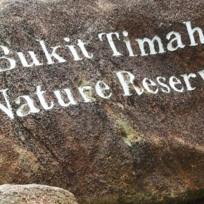 Singapore Sights III – Bukit Timah Nature Reserve